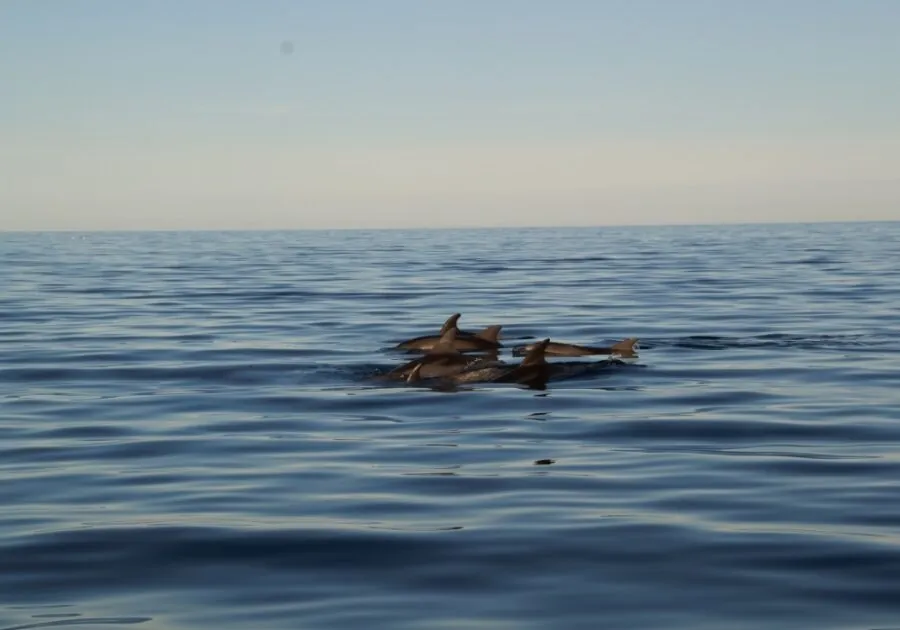 Plovidba u zalazak sunca u Puli jedrilicom - Pula Boats 