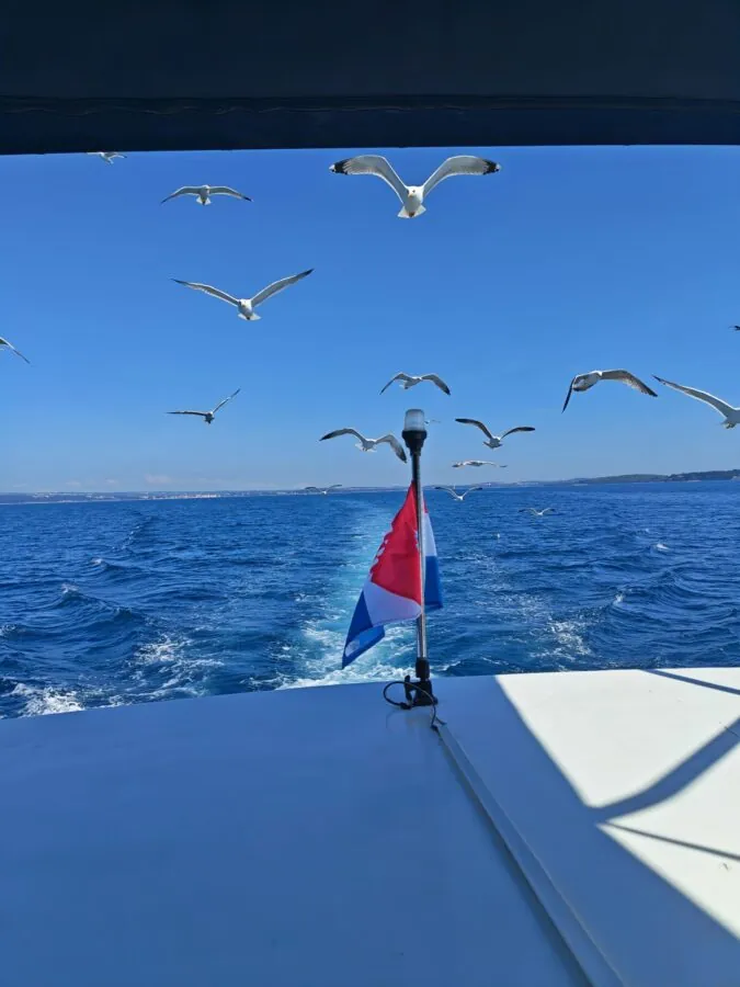 Plovidba u zalazak sunca u Puli gliser jahtom - Pula Boats 